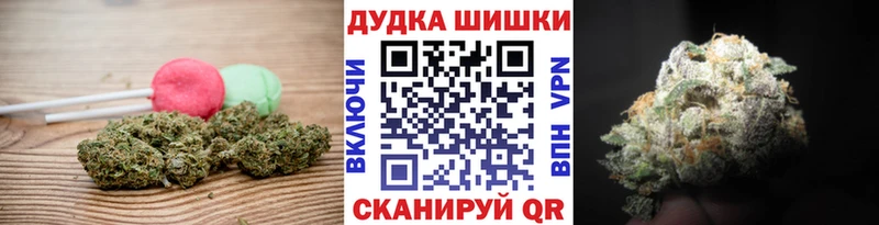 где продают   мега вход  Canna-Cookies конопля  Выборг 