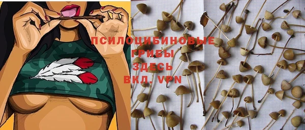 MDMA Premium VHQ Верхний Тагил