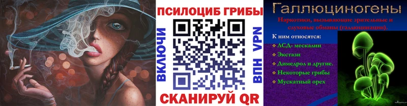 Галлюциногенные грибы мицелий  закладка  Выборг 