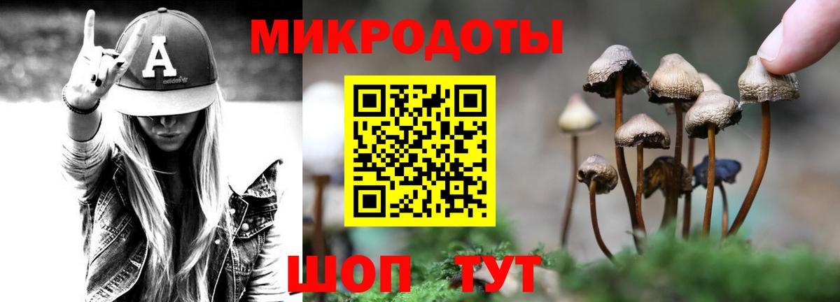 Галлюциногенные грибы Cubensis  как найти закладки  Выборг  Галлюциногенные грибы мухоморы  Вход с VPN 